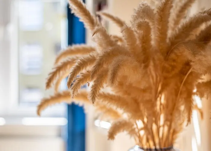 Nadmorskie Miejsce *