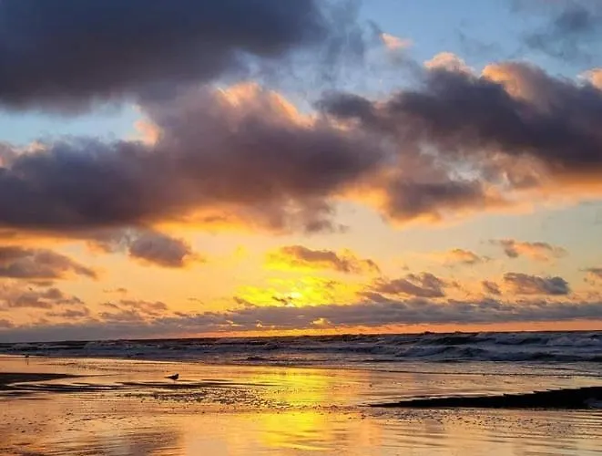 Апартаменти Nadmorskie Miejsce Гдиня